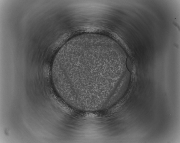 X0000101970257200808081557