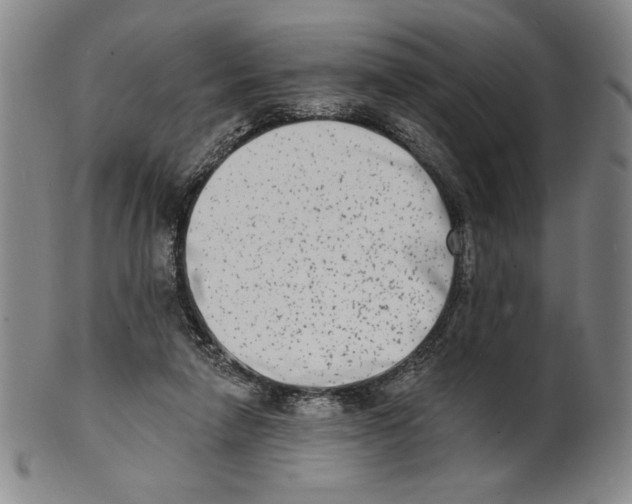 X0000101970258200808081557