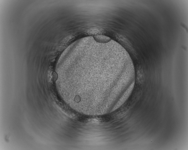 X0000101970259200808081557