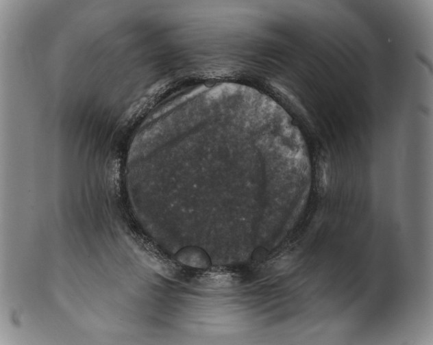 X0000101970260200808081557