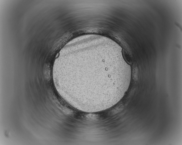 X0000101970261200808081557