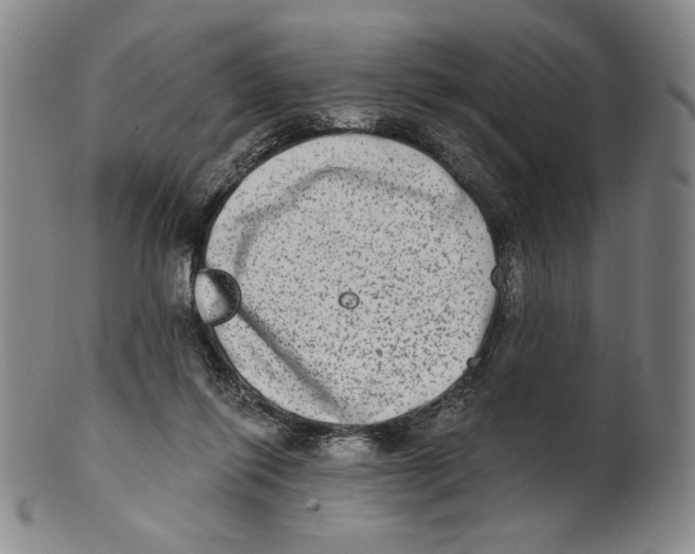 X0000101970262200808081557