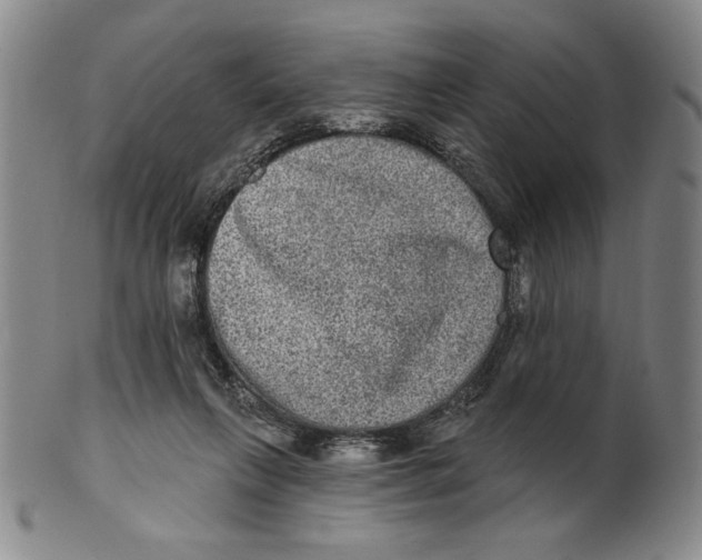 X0000101970263200808081557