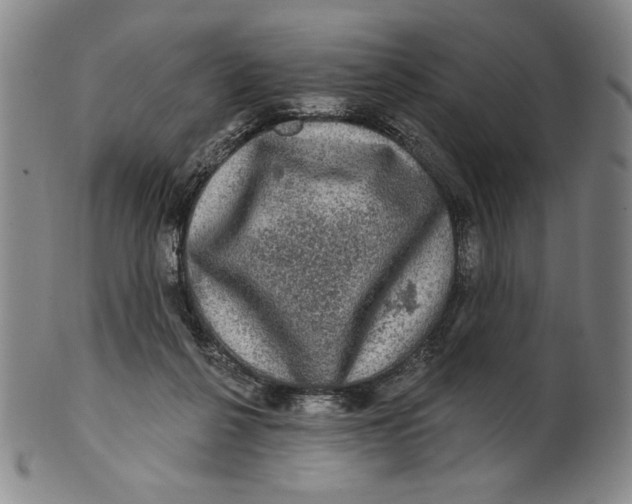 X0000101970264200808081557