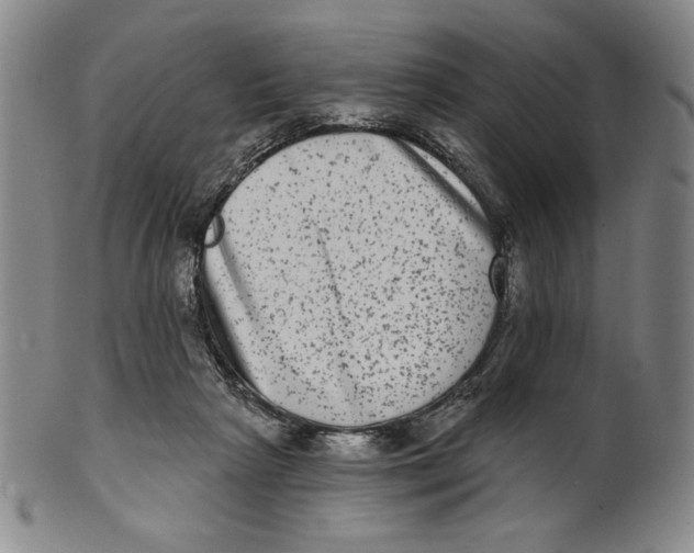 X0000101970265200808081557