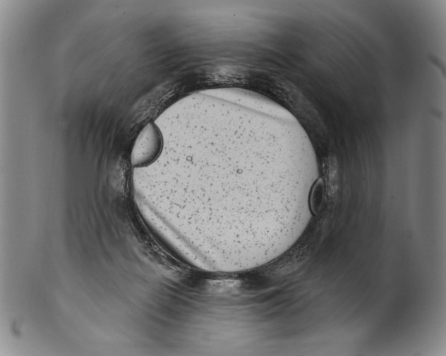 X0000101970266200808081557