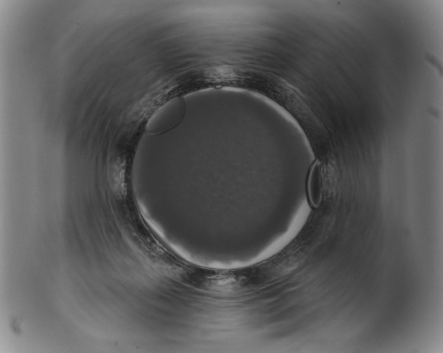 X0000101970267200808081557