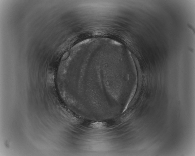 X0000101970269200808081557