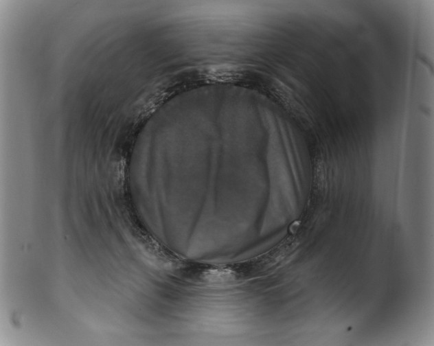 X0000101970271200808081558