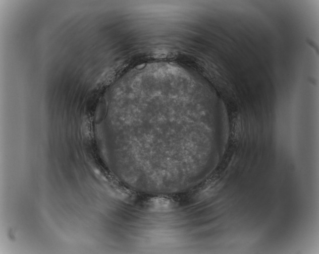 X0000101970272200808081558
