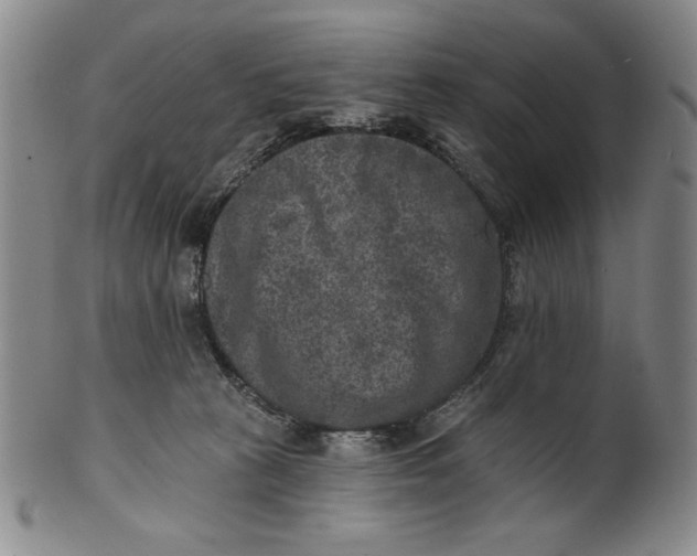 X0000101970273200808081558