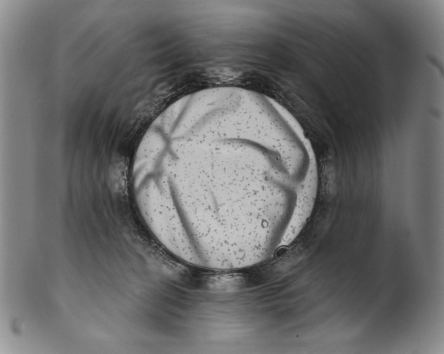 X0000101970274200808081558