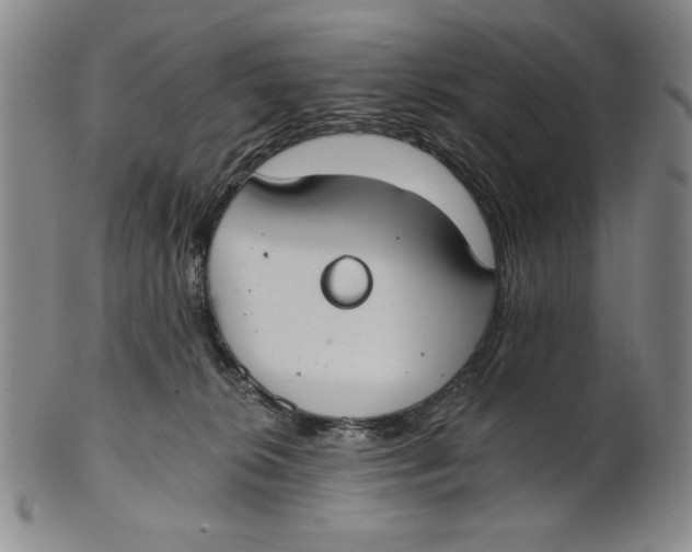 X0000101970276200808081558