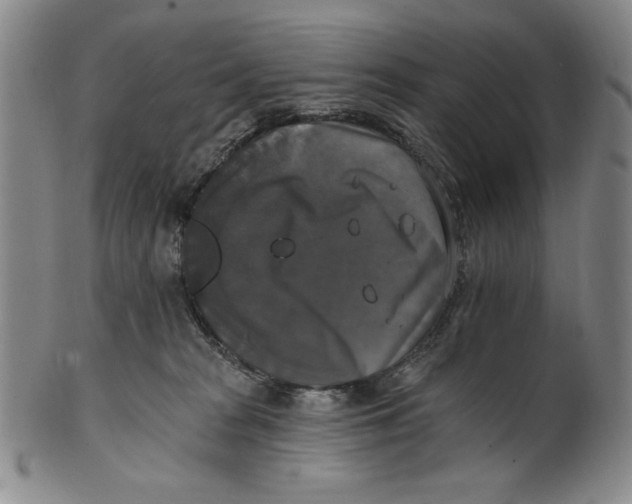 X0000101970277200808081558