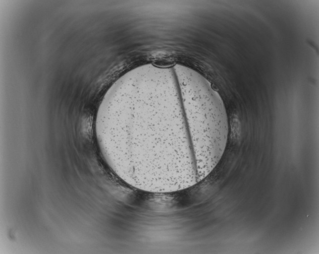 X0000101970278200808081558