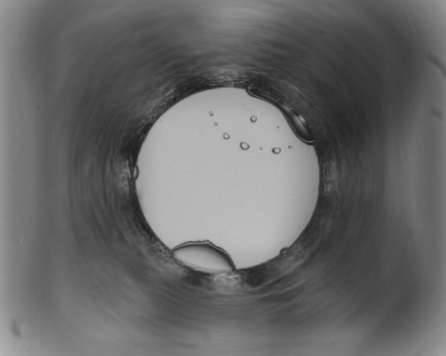 X0000101970279200808081558