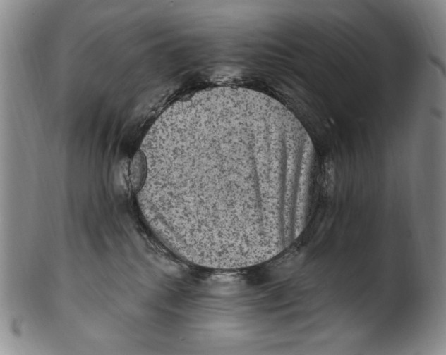 X0000101970280200808081558