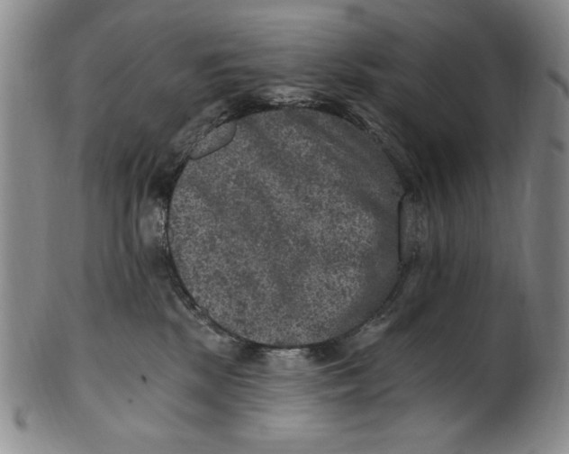 X0000101970281200808081558