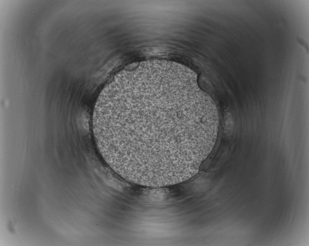 X0000101970282200808081558