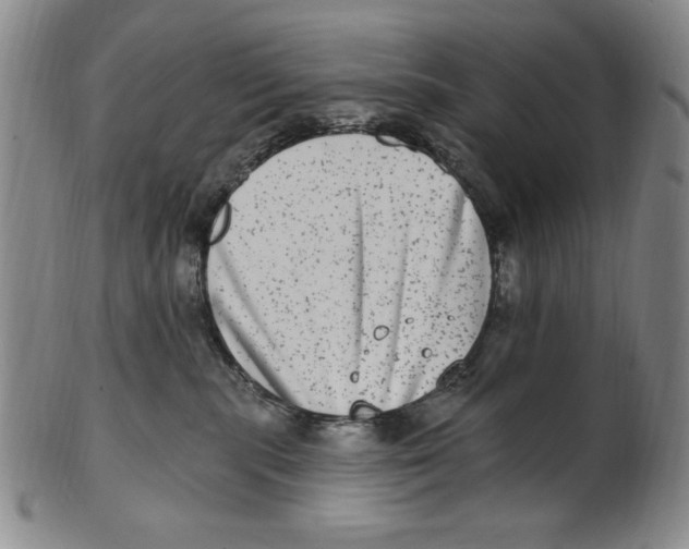 X0000101970283200808081558