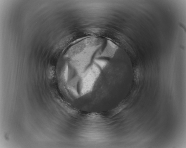 X0000101970284200808081558