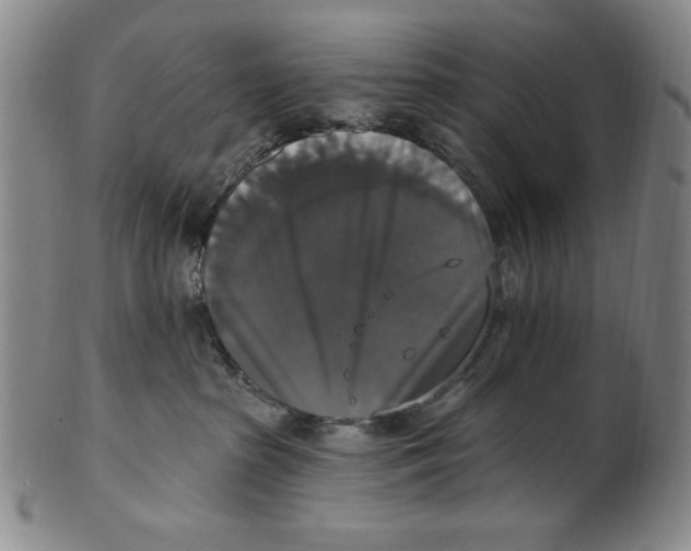X0000101970285200808081558