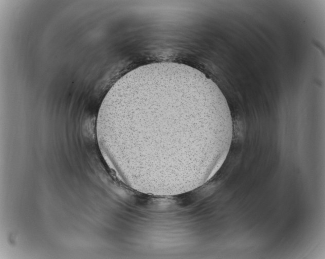 X0000101970286200808081558