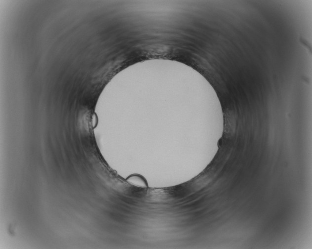 X0000101970287200808081558