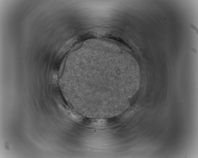 X0000101970288200808081558