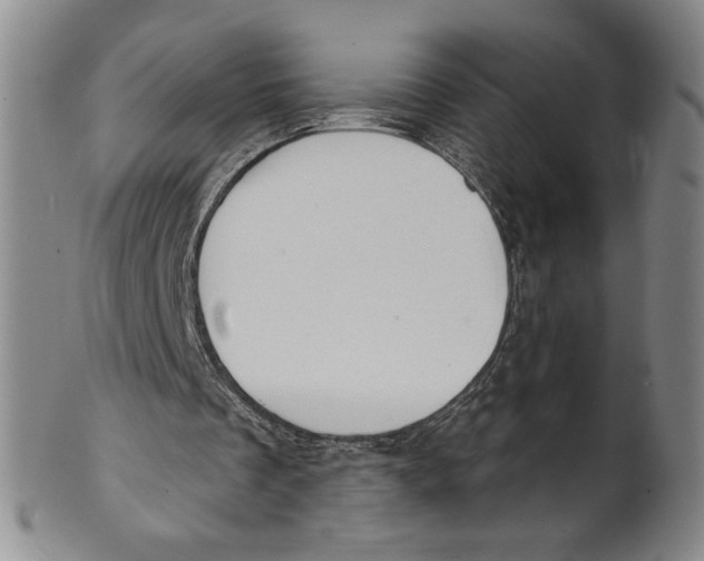 X0000101970289200808081557