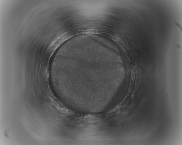 X0000101970290200808081557