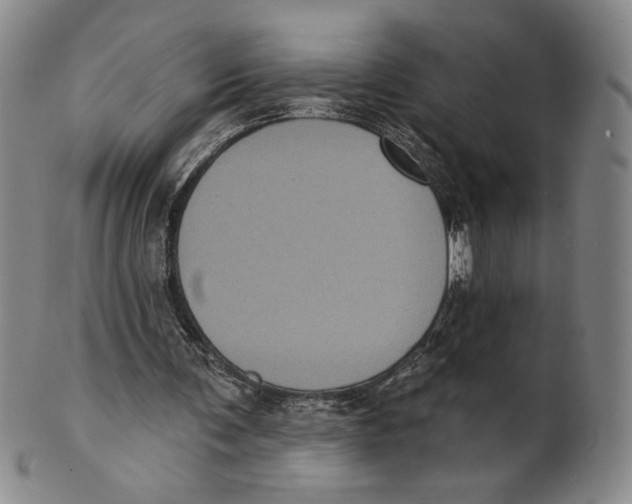 X0000101970291200808081557
