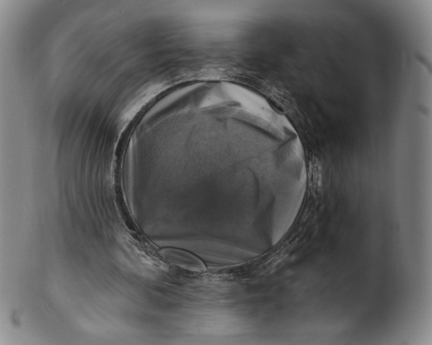 X0000101970292200808081557
