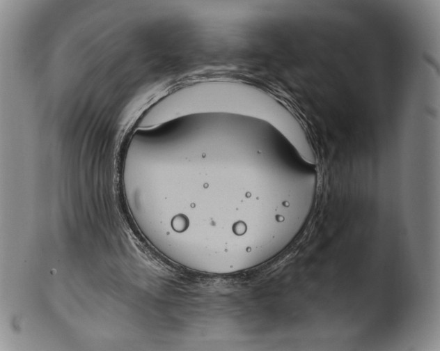 X0000101970293200808081557