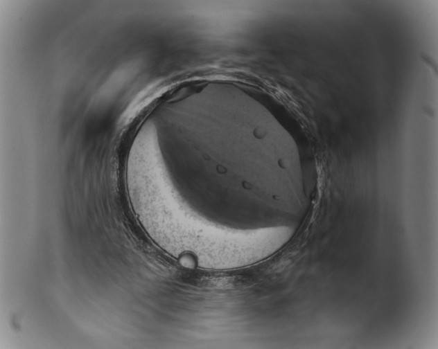 X0000101970295200808081557