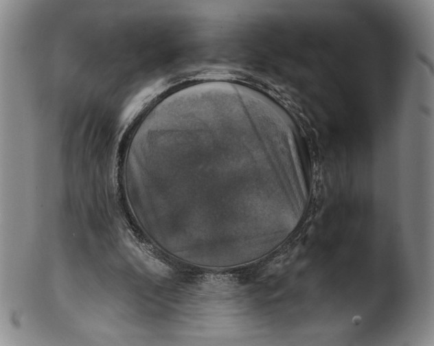 X0000101970296200808081557