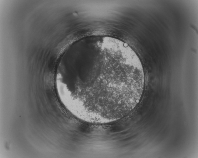 X0000101970297200808081557