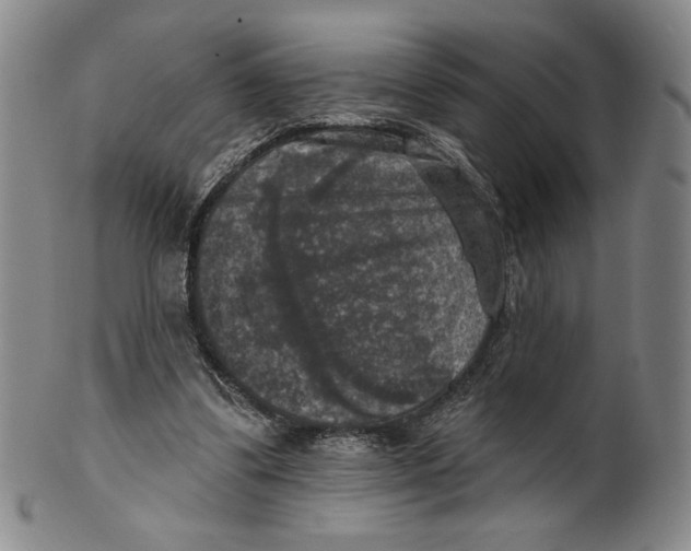 X0000101970299200808081557
