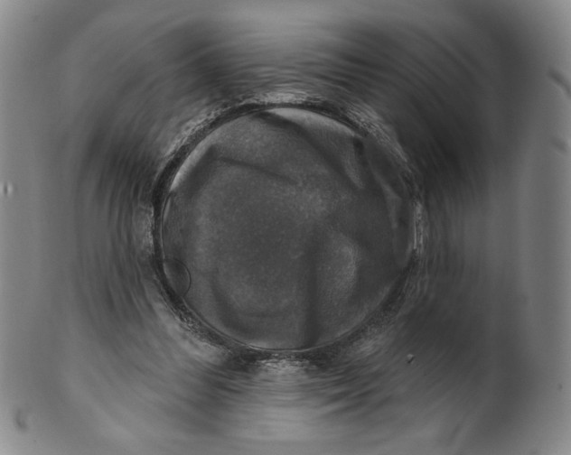 X0000101970300200808081557