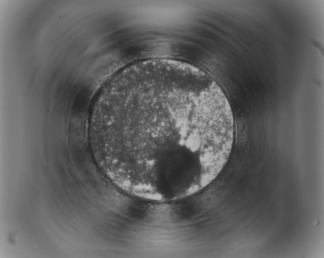 X0000101970301200808081557