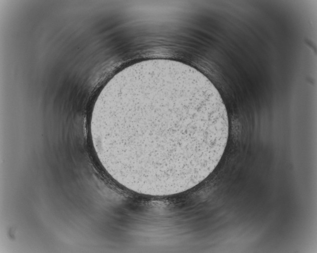 X0000101970302200808081557