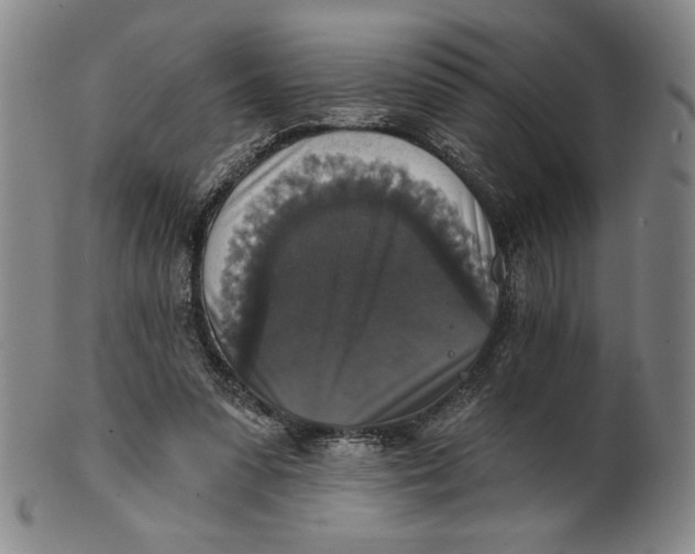 X0000101970303200808081557