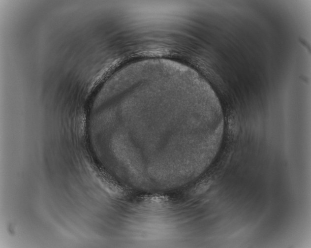 X0000101970304200808081557