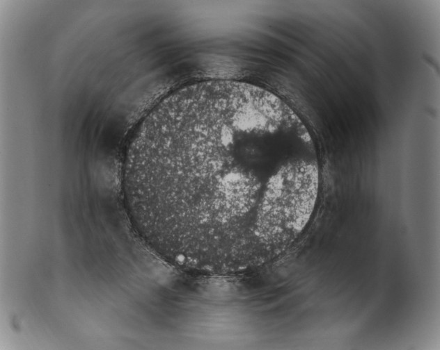 X0000101970305200808081557