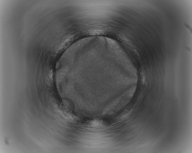 X0000101970308200808081557