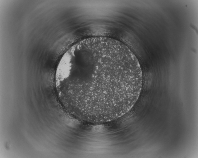 X0000101970309200808081557