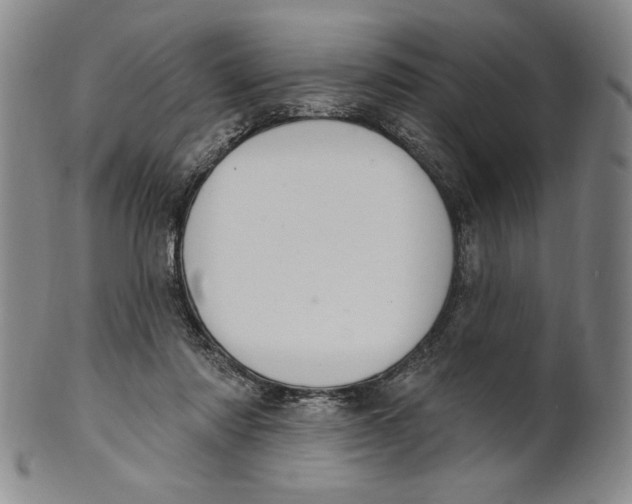 X0000101970310200808081557