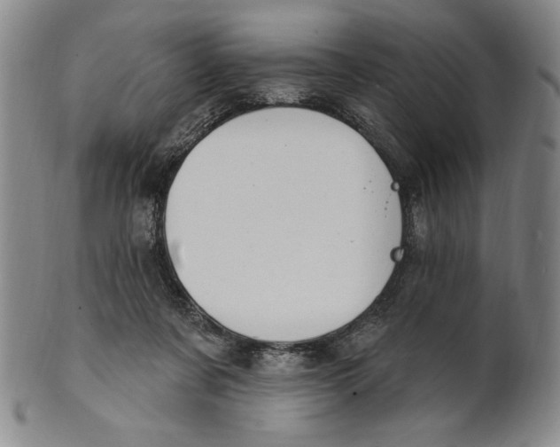 X0000101970311200808081557