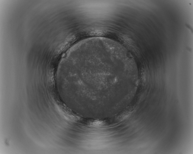 X0000101970312200808081557