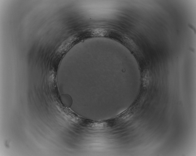 X0000101970314200808081557
